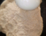 Egg rollmatakin girki1 hoto