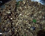 Foto langkah ke 6 dari resep Ikan Kayu.