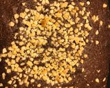 Foto langkah ke 4 dari resep Brownies 3 Bahan.
