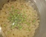 A picture of step 1 of Macraoni.