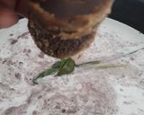 Foto langkah ke 4 dari resep Burkettem (bubur ketan item dg cangijo).