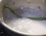 Foto langkah ke 2 dari resep Lupis Kulit Buah Naga.