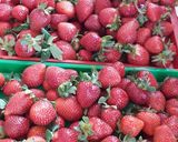 Eperdzsem, darabosan 🥰 recept fázis 1 fotója