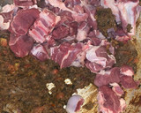 🍲🐏மட்டன் கிரேவி 🐏 🍲 ரெசிபி ஸ்டேப் 3 புகைப்படம்