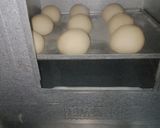 Foto langkah ke 3 dari resep Korean Garlic Bread Cheese.
