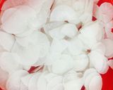 Hình bước làm 1 của món Dưa củ cải muối sổi
