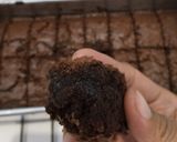 Foto langkah ke 7 dari resep Brownies.