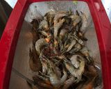 Foto del paso 1 de la receta: Camarones cucarachas al estilo Sonorense