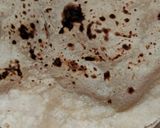 રોટી (Roti Recipe In Gujarati) રેસીપી સ્ટેપ4ફોટો