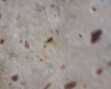 A picture of step 5 of Minced chicken cheese paratha.