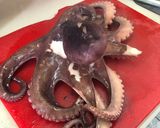 Foto del paso 4 de la receta: Pulpo Enamorado Sonorense