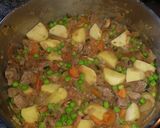 Foto del paso 4 de la receta: Estofado completo