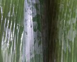 Foto langkah ke 4 dari resep Nasi Bakar Ati Ayam Kecap Pedas.