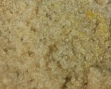 A picture of step 1 of Quinoa pulao.