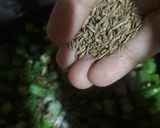A picture of step 4 of Chatpati Okra...