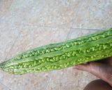 Foto langkah ke 1 dari resep Tumis Pare Tempe Pedas.