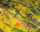 Foto langkah ke 4 dari resep Mangut Lele Khas Jogja.