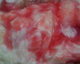 আইসক্রিম সন্দেশ(Ice cream sondesh recipe in bengali) রেসিপি ধাপ - 3 ছবি