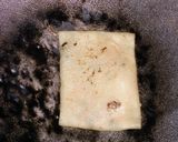Foto langkah ke 4 dari resep (12.) Martabak Mini homemade.