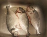 Foto del paso 1 de la receta: Pescado frito con patacones y ensalada de pepino