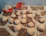 Foto del paso 6 de la receta: Bollitos de pan