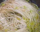 हेल्दी मुग बिन स्प्राऊट साईड डिश (moong bean sprout recipe in marathi) रेसिपी स्टेप 1 फोटो 