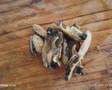 Foto del paso 1 de la receta: Estofado de locos y lapa