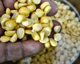 लौकी चना दाल रेसिपी चरण 1 फोटो