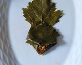 Foto del paso 11 de la receta: Hojas de Parra rellenas de carne picada con menta y cítricos