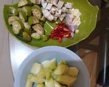 Foto langkah ke 1 dari resep Sayur lodeh labu siam terong hijau.