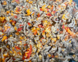 Foto del paso 2 de la receta: Lasaña de carne
