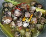 Foto langkah ke 5 dari resep Pindang Kerang Pedas Moronyoy.