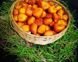তালের বড়া (taler Bora recipe in Bengali) রেসিপি ধাপ - 4 ছবি