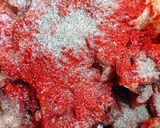 Gombás -tejfölös csirkemelltokány nokedlivel recept fázis 2 fotója
