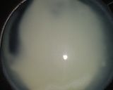Foto langkah ke 5 dari resep Risoles Ragout Sayuran.