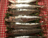 Foto del paso 2 de la receta: Sardinas asadas al horno, con romero y limón
