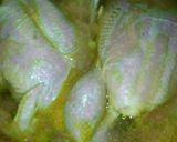صورة لخطوة 1 من وصفة دجاج مشوي طعم روووعة ☺😋🐓🐓