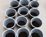 صورة لخطوة 1 من وصفة حلى الشتلات🌿
