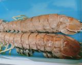 Foto langkah ke 2 dari resep Udang Ronggeng Kukus Simple.