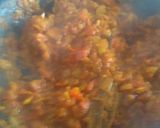 A picture of step 3 of Shenga (Drumstick) Kokum Curry.