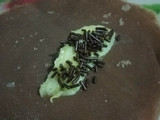 Dadar Gulung pisang coklat
