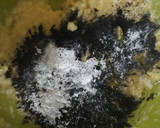 Foto del paso 3 de la receta: Alfajores marplatense sin tacc