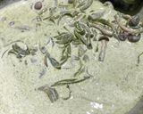 Foto langkah ke 5 dari resep Creamy Matcha Pasta.