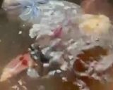 รูปขั้นตอนการทำที่ 8 ของ ก๋วยเตี๋ยวเรือ ที่ไม่มีเรือ
