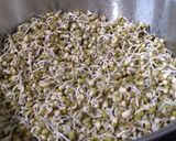 स्वास्थ्यवर्धक चटपटीत मूग चाट (moong chat recipe in marathi) रेसिपी स्टेप 3 फोटो 