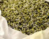 ફણગાવેલા મગનું સલાડ(Sprouted mung salad recipe in Gujarati) રેસીપી સ્ટેપ2ફોટો