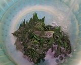 Foto langkah ke 2 dari resep Oseng Daun Pepaya Jepang.