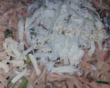 A picture of step 6 of Fajita pasta.