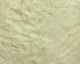 Foto del paso 6 de la receta: Pasta Frola