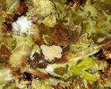 Foto langkah ke 6 dari resep Tulang Ayam Bumbu Kuenter.